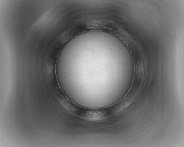 X0000112850749200908211300