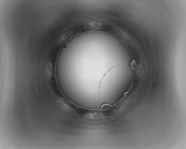 X0000112850752200908211300