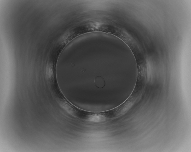X0000112850754200908211300