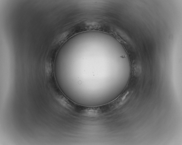 X0000112850756200908211300