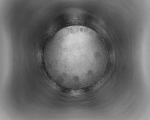 X0000112850757200908211300