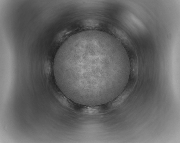 X0000112850758200908211300