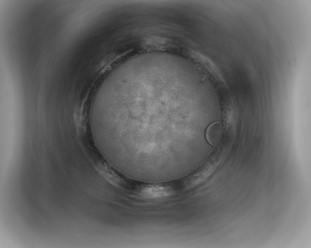 X0000112850759200908211300