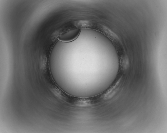 X0000112850760200908211300
