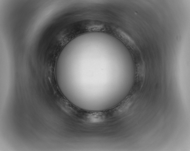 X0000112850761200908211300