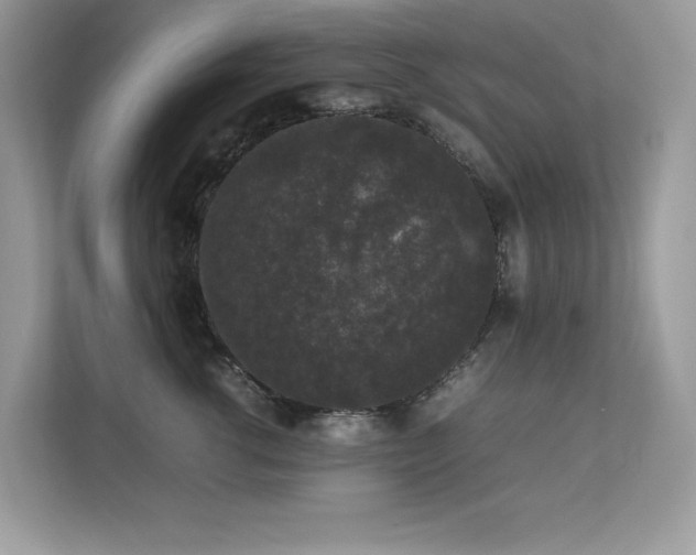 X0000112850762200908211300