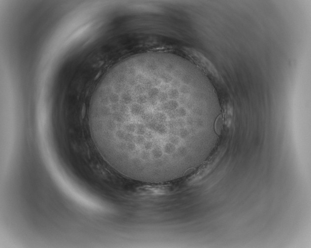X0000112850763200908211300