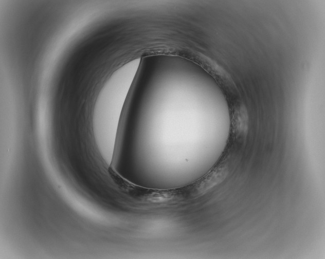 X0000112850764200908211300