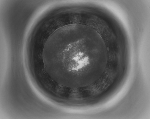 X0000112850766200908211300