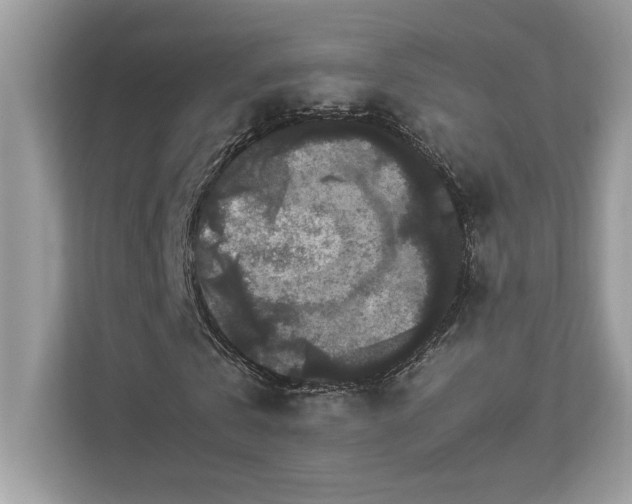 X0000112850769200908211300