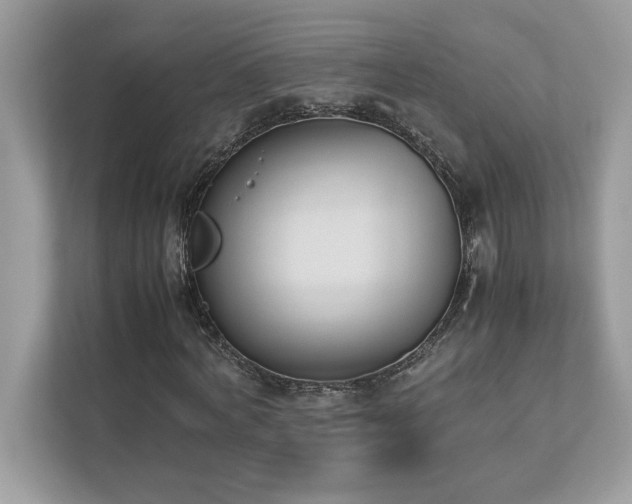 X0000112850772200908211300