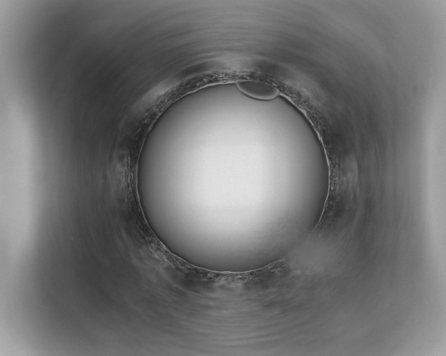 X0000112850773200908211300