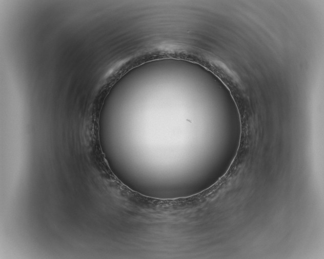 X0000112850776200908211259