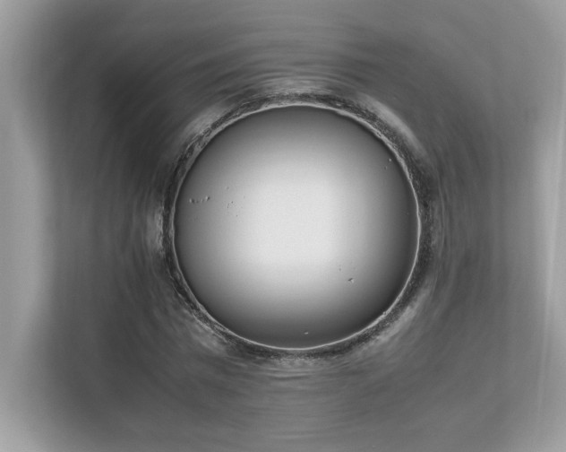 X0000112850777200908211259