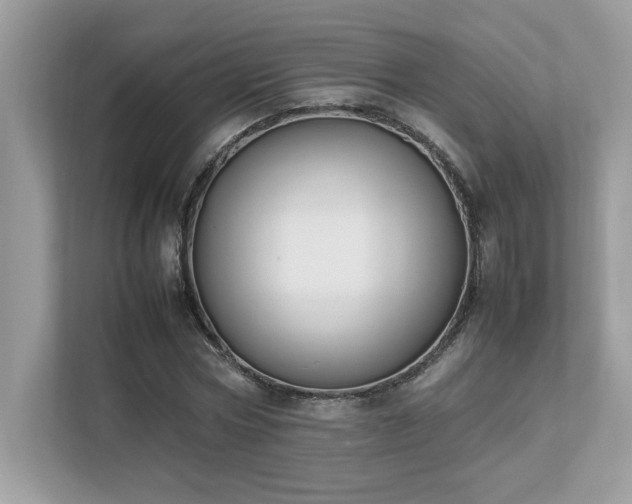 X0000112850778200908211259
