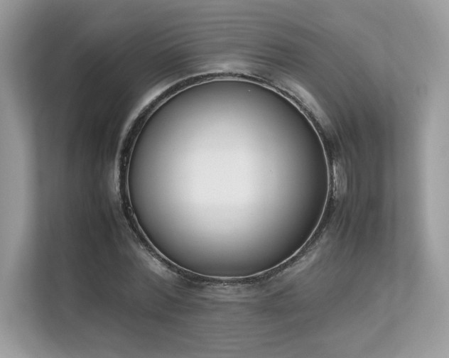 X0000112850780200908211259