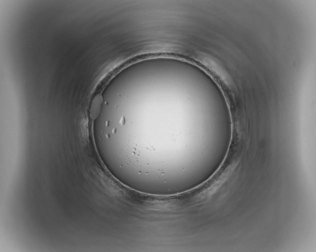 X0000112850781200908211259