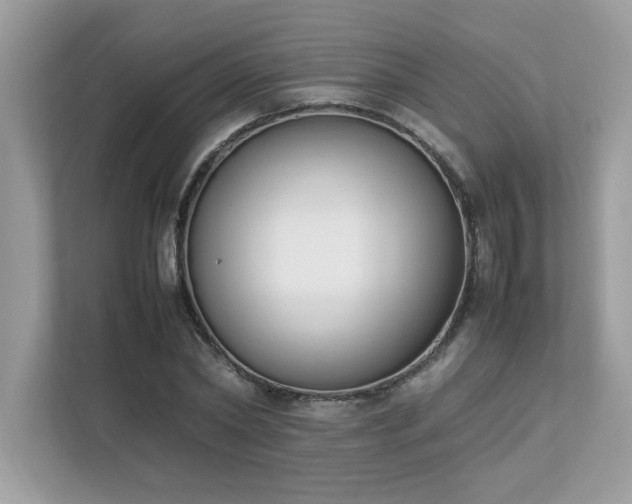 X0000112850782200908211259