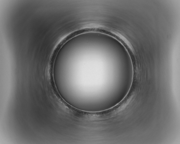 X0000112850783200908211259