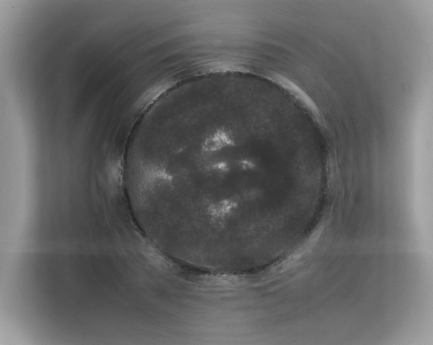 X0000112850785200908211259
