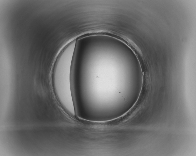 X0000112850789200908211259