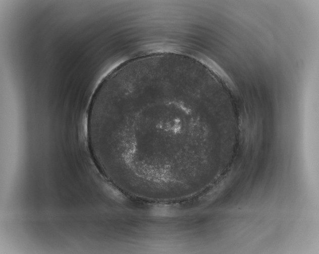 X0000112850790200908211259
