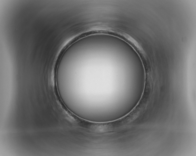 X0000112850791200908211259