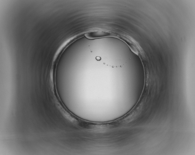X0000112850796200908211259