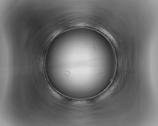 X0000112850801200908211259