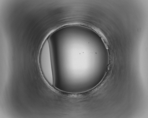 X0000112850805200908211259