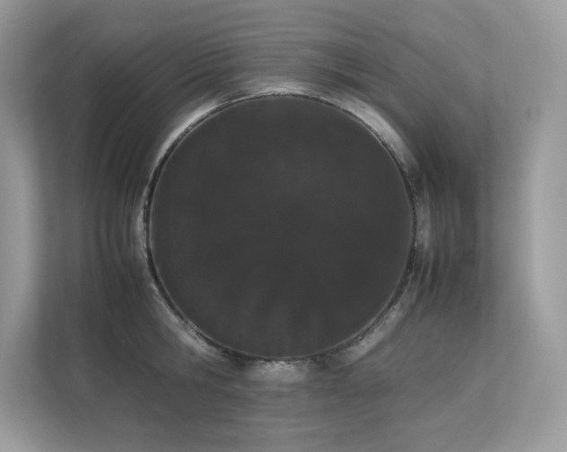 X0000112850806200908211259