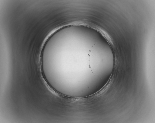 X0000112850808200908211259