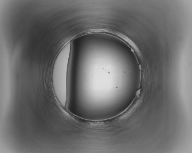 X0000112850809200908211259