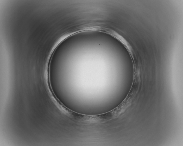 X0000112850811200908211259