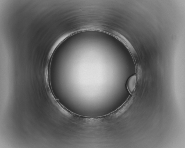 X0000112850812200908211259