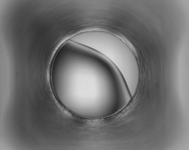 X0000112850813200908211259