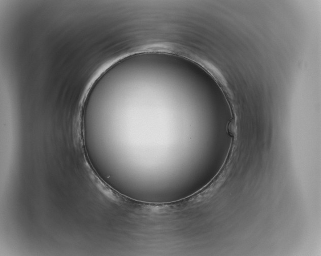 X0000112850816200908211259