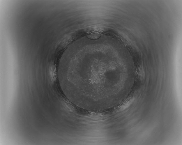 X0000112850818200908211258