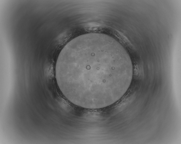 X0000112850820200908211258
