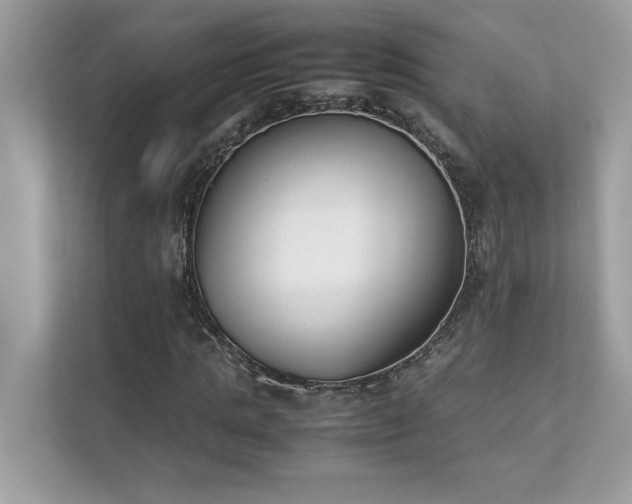 X0000112850821200908211258