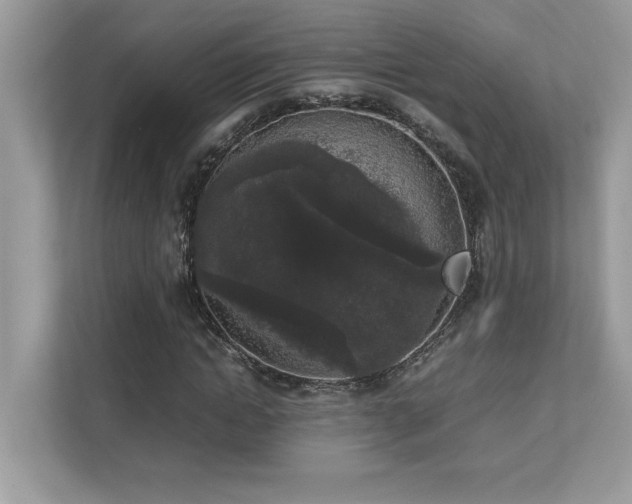 X0000112850822200908211258