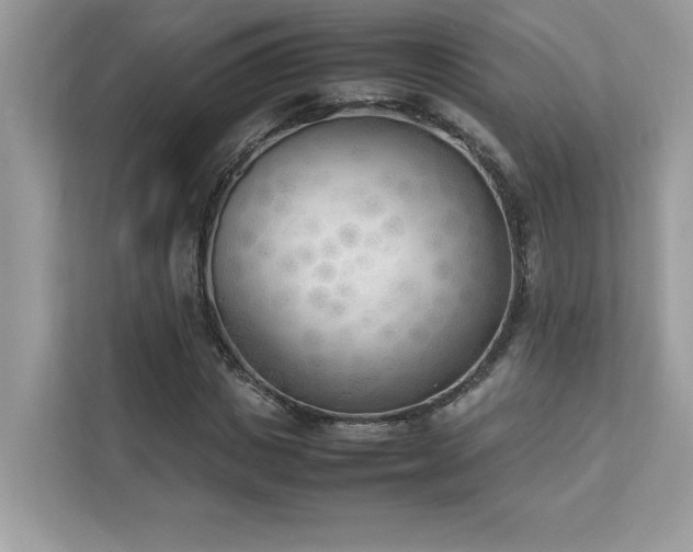 X0000112850825200908211258