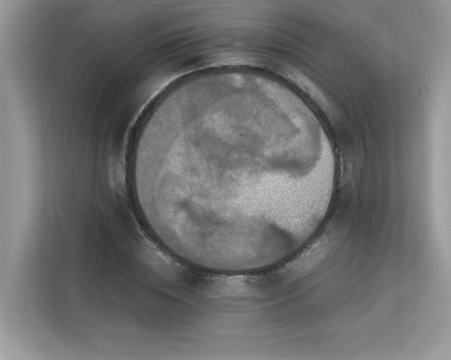 X0000112850828200908211258