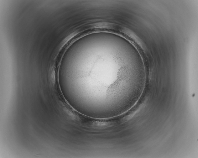 X0000112850829200908211259