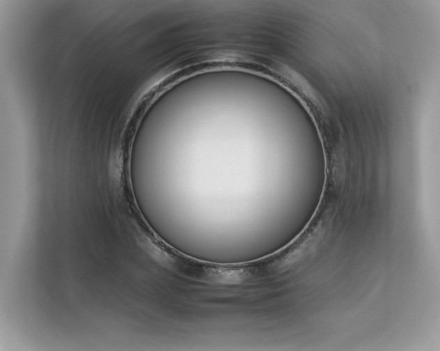 X0000112850831200908211259