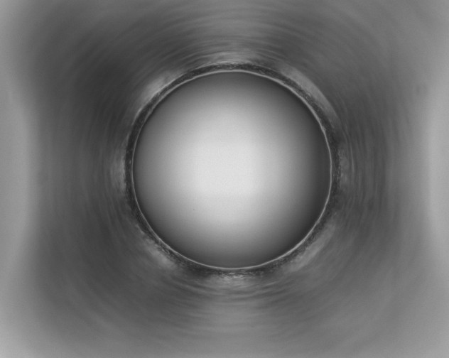 X0000112850834200908211259