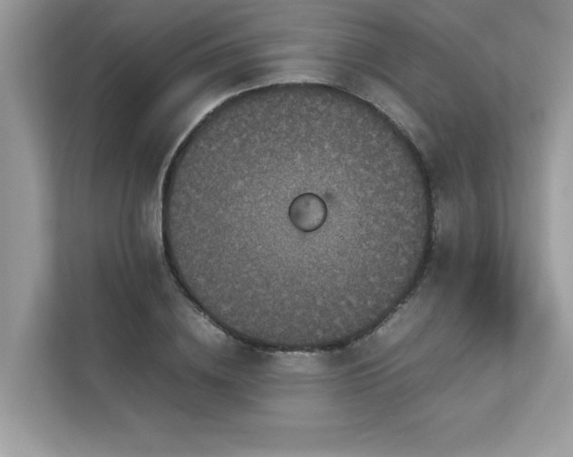 X0000112850836200908211259