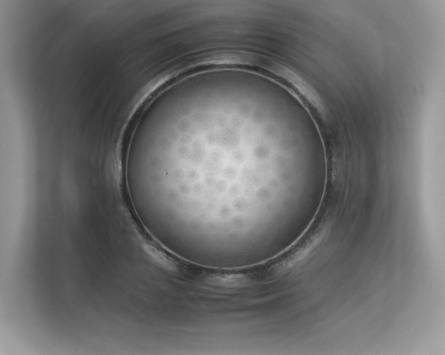 X0000112850837200908211259
