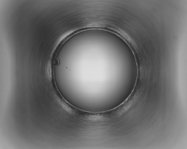 X0000112850838200908211259