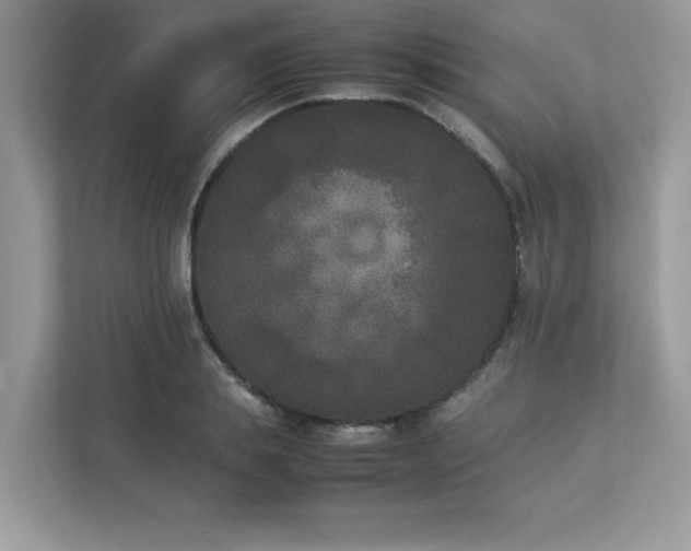 X0000112850839200908211259